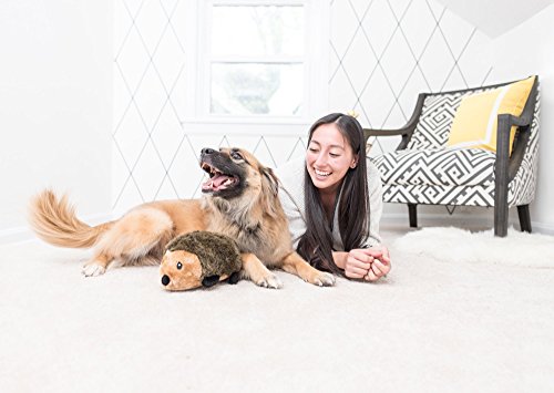 ZippyPaws Hedgehog Dog Squeaky Toys to Keep Them Busy, Cute Plush | for Small, Medium, & Large Dogs, Stuffed Puppy Toy, Pet Products, Gift for All Breeds, Interactive Squeaker