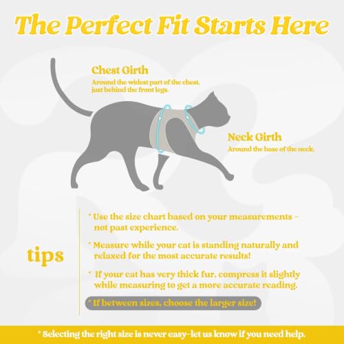rabbitgoo Cat Harness and Leash Set, Step-in Soft Vest, Bright Yellow | Escape Proof, Lightweight, Easy-on & Adjustable, Hook & Loop with Buckle, Reflective, for Kittens & Small Cats Walks, S - color: Bright Yellow, size: S
