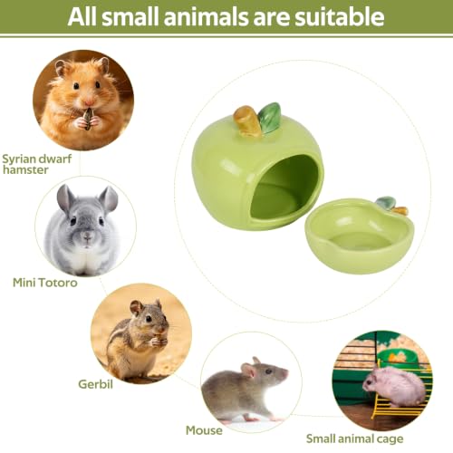Ceramic Hamster Hideout & Food Bowl Set, Green | Apple-Shaped, Chew-Proof Sleeping Cave, Cooling Shelter Function, 2.9-inch Entrance, For Syrian Dwarf Hamsters, Mice - color: Green