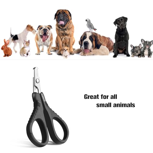 JAZZZNAP Cat Nail Clippers, 2Pcs Pet Nail Trimmers, Black | Pet Nail Cutter for Cat, Puppies, Birds, Curved and Flat Tips, Non-Slip Handle