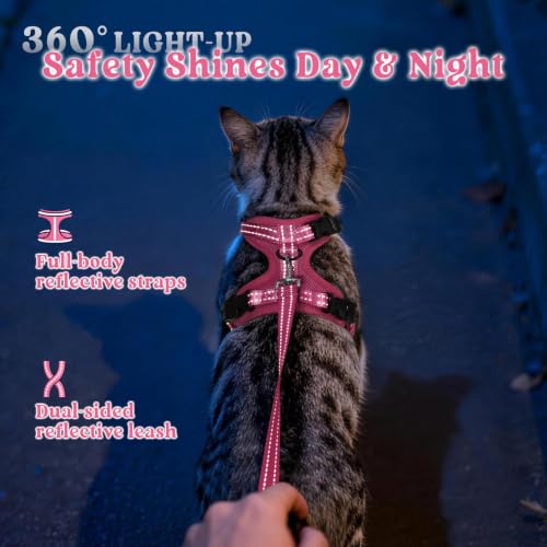 rabbitgoo Cat Harness and Leash Set, Easy-on with Neck Buckle, Rose Red | Escape Proof, No Over-the-head, Soft Air Mesh, 3 Lockable Adjusters & Buckles, Reflective, for Kittens & Small Cats Walks, Xs - color: Rose Red, size: Xs