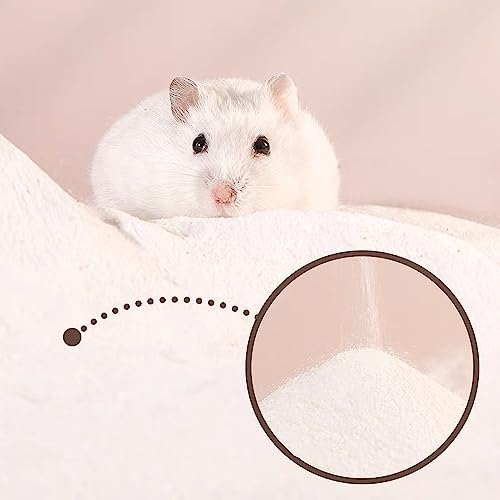 DR.DUDU 2.8lb Hamster Sand for Sand Bath, Hamster Cage Accessories(White) | Dust Free Desert Sand for Gerbil Chinchillas Syrian Mice Small Animals - color: White, size: 2.8lb