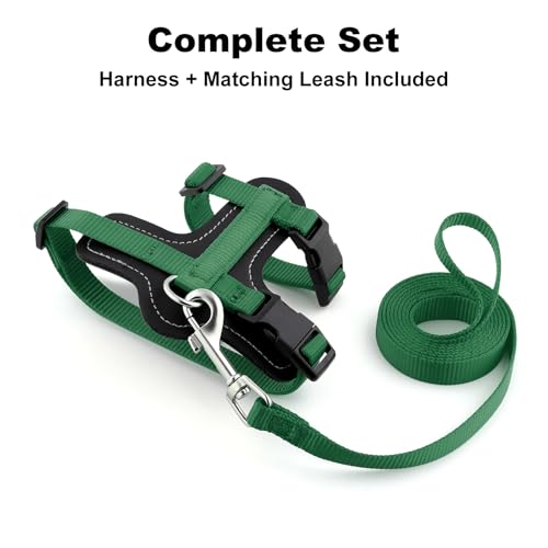 Plutus Pet Adjustable Cat Harness and Leash Set, with Leather Trim | Quick Release, Escape Proof Nylon Vest, for Kitten Small Medium Large Cats, Green - color: Green