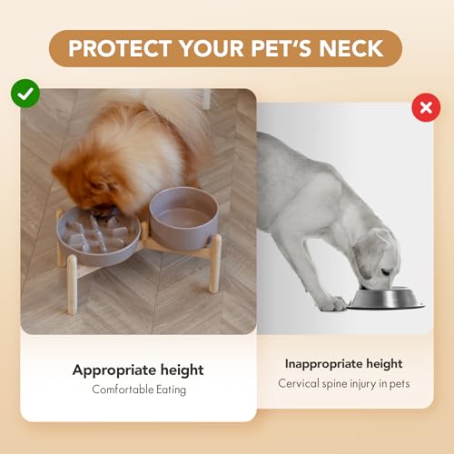 Havniva Elevated Slow Feeder Dog Bowls, Ceramic Dog Bowl Slow Feeder Set | 1.2 Cups Raised Slow Feeder Dog Bowl for Small Breed, 6.1” Dog Water Bowl with Wooden Stand, Puzzle Dog Food Bowl, Non-slip - color: Brown Coffee