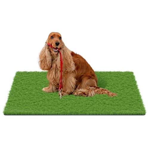 MAYSHINE Fake Grass for Dogs, Artificial Turf Grass Indoor Outdoor, Mat for Dogs Soft Blades, Cesped Artificial for Patios, Dog Astro Turf for Balcony, Quick Clean, Easy Rinse Patio Rug, 59"x36" - size: 59" x 36", style: Without Drainage Holes