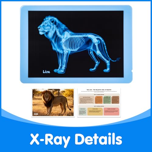 15 Pcs Zoo Animal Xrays for Kids - Light Table Manipulatives | Vet Role Play, Light Table Accessories, and Bone Structure Exploration - style: Zoo Series