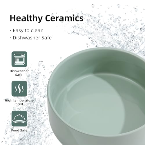 Havniva Raised Cat Bowl 5.1” Elevated Ceramic Cat Food and Water Bowl | Cat Bowls Elevated, Whisker Friendly Cat Bowl, Non-Slip Wood Stand, Food-Grade Ceramic, Wide Opening, Dishwasher Safe - color: 1 x Bowl + Stand - Light Green, size: 5.1inch