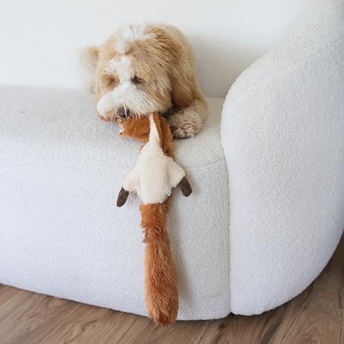 SPOT Skinneeez Squirrel 23-Inch Stuffing-Free Plush Dog Toy – Realistic Design with 2 Squeakers – Durable, Soft Polyester for Medium & Large Dogs – Tug, Fetch & Shake Play – for Moderate Chewers - style: Squirrel