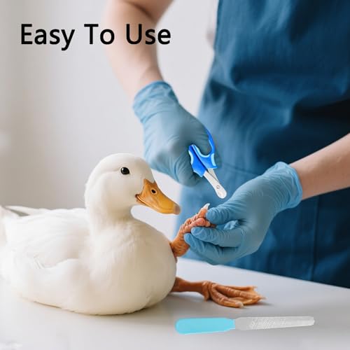 Call Duck Nail Clippers with Nail File，Stainless Steel Call Duck Chicken Hen Roster Goose Toe Nail Clippers Professional Grooming Pet Tool for Small Breed Animals