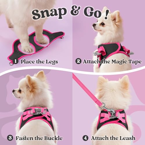 rabbitgoo Dog Harness Small Sized and Leash Set, Step in Soft Vest | Breathable Mesh, Easy Wear with Hook & Loop, Light and Reflective for Walking, Multi-colored, Black & Rose Red, XXS - color: Black & Rose Red, size: XXS (Chest: 12.4"-14.2")