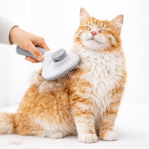 Cat Brush for Shedding, Self Cleaning Slicker Brush for Long Haired Cats, Deshedding Grooming Tool for Indoor Cats with Easy Release Button System (Blue)