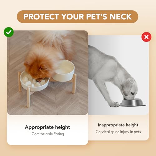 Havniva Elevated Slow Feeder Dog Bowls, Ceramic Dog Bowl Slow Feeder Set | 1.2 Cups Raised Slow Feeder Dog Bowl for Small Breed, 6.1” Dog Water Bowl with Wooden Stand, Puzzle Dog Food Bowl, Non-slip - color: Light Yellow