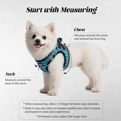 No Pull Dog Puppy Harness and Leash Set Reflective Mesh Vest X-Small - color: Blue, size: X-Small (Pack of 1)