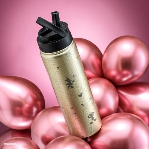 JoyJolt Disney MonoMouse Stainless Steel Water Bottle with Flip Straw Lid, 22 oz Vacuum Insulated Water Bottle, BPA-Free Tumbler ft Minnie & Mickey Mouse | Gold