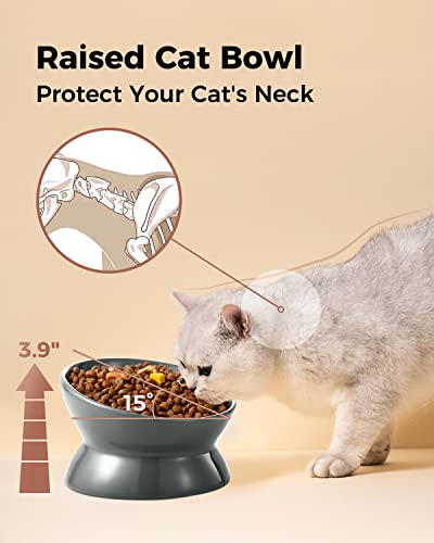 LoeJan Elevated Cat Food Bowl, 5 Oz Ceramic Raised and Tilted Water Bowl, Anti Vomiting and Protect Pets' Spines Dishes for Small Dog, Fat Faced Cat, Kitten (Gray, 1 Pack) - color: Gray
