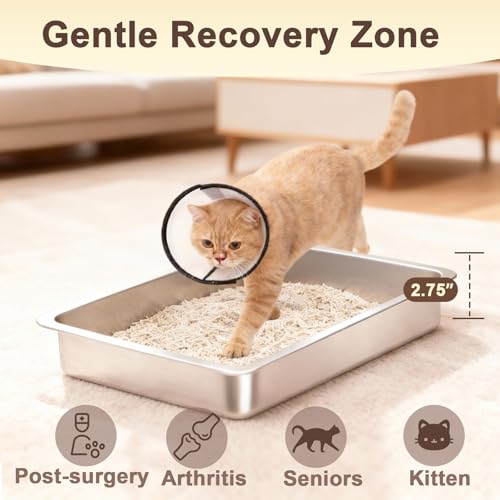 Low Entry Stainless Steel Cat Litter Box for Senior Cats, Metal Shallow Kitten Litter Box, Easy Access Kitty Litter Pan Tray, Easy Cleaning-15.75''Lx 11.81'' W x2.76'' H - color: 15.75''Lx 11.81'' W x2.76'' H