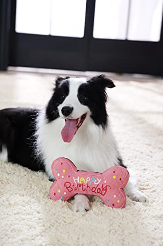 Tamu style Dog Birthday Toy Gift, 10-Inch Squeaky Bone Cake Plush, Pink - color: Pink