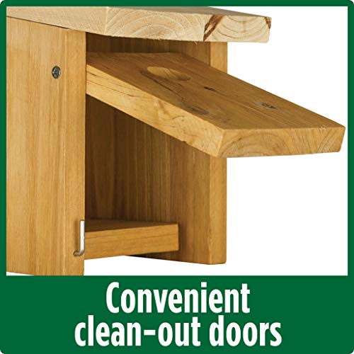 Nature's Way Cedar Box Wren House with Clean-Out Door, Wild Bird House and Outdoor Décor, Brown (Pack of 4) - size: Wren Box House (Pack of 4)