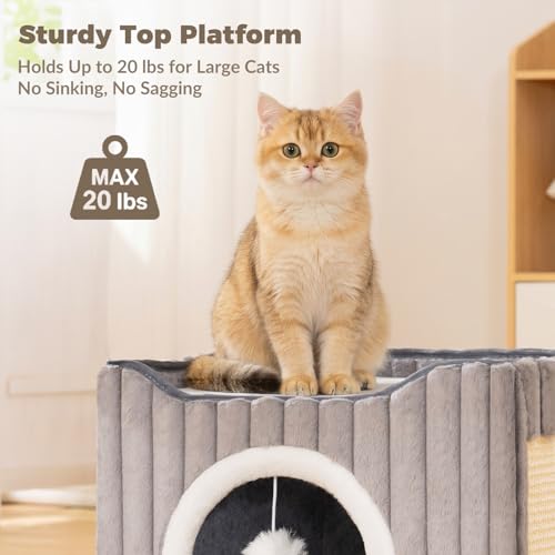 Avont 3-in-1 Cat Cave Bed for Indoor Cats with Scratch Pad | Scratch Pad & Hanging Ball, Large Hideaway for up to 20 LBS, Washable Cushion, Foldable Design, Available in Grey & Cream - color: Grey