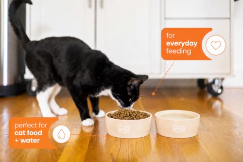 Pearhead Ceramic Cat Bowl, Holds 12 oz, Taupe Meow Design - color: Taupe "Meow", size: Single Bowl