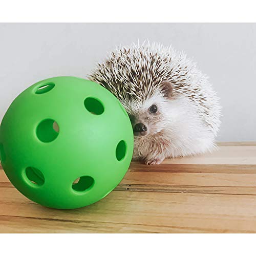 Hedgehog Ball - Interactive Cage Accessory Floor Toy - for Hedgehogs, Chinchillas, Sugar Gliders, Rabbits, Guinea Pigs, Hamsters, Degus, Rats, Parrots, Birds & Other Small Pets