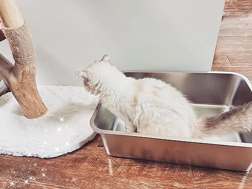 Stainless Steel Cat Litter Box, Large Metal Litter Box 19.5" Lx13.5 Wx6 H | Never Absorbs Odors,Stain Free, Rustproof, Non Stick Smooth Surface, Anti-Slip Rubber Bottom - color: 6" H, size: 19.5"L x 13.5"W
