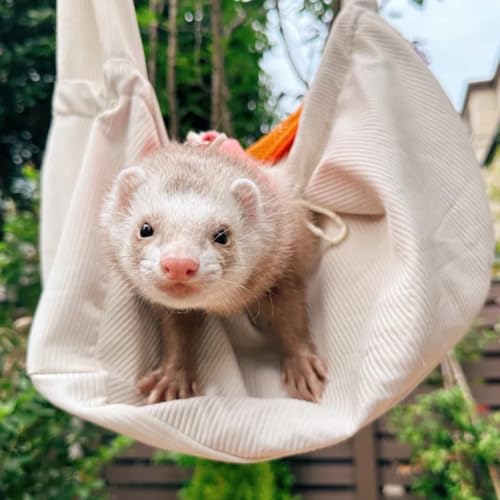 Ferret Sling Carrier - Pet Carrying Bag with Adjustable Strap Hands Free Shoulder Bag Crossbody Travel Slings Soft Small Animal Bonding Pouch Front Backpack for Ferret Rabbit Puppy Kitten (Beige) - color: Beige