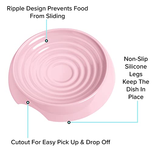 CatGuru Cat Bowls, Whisker Friendly Food Bowl for Indoor Cats, Reliefs Whisker Fatigue, Wide Kitten Dish, Non Slip Pet Dishes, Shallow Pet Plates (Pink, (Pack of 2)) - color: Pink, size: Dish - Set of Two