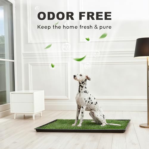 HQ4US Dog Grass Pad with Tray, Odor Free Grass Pee Pad for Dog Litter Box | Extra Large Dog Potty Tray with Grate, Artificial Grass Fast Drainage, Hemmed Edge, Realistic, Fake Grass for Indoor Balcony - size: XL - 45" x 34" for Dog＜ 38'' Length