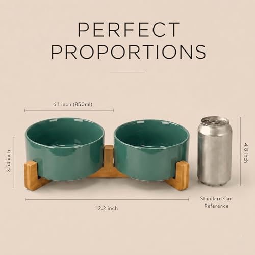 SPUNKYJUNKY Ceramic Dog and Cat Bowl Set with Wooden Stand, Modern Cute Weighted Food Water Set for Small Size Dogs (13.5OZ) & Medium Sized Dogs (28.7OZ) & Cats (3.6 Cups, 2 × Light Green) - color: Light Green × 2, size: 3.6 cups