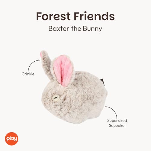 P.L.A.Y. Cute Plush Dog Toys - Forest Friends Critter Themed Durable Squeaker Crinkle Chew Toy, Great for Puppies & Small, Medium, Large Dogs - Machine Washable, Recycled Materials (Bunny) - style: Baxter the Bunny