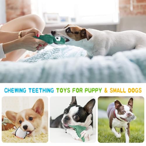 Squeaky Dog Toy for Puppy Small Medium Dogs, Stuffed Samll Dog Toys 12 Pack | Soft Plush Pet Doggie Toy Set, Cute Safe Pet Chew 12 Pack for Puppies Teething - color: 12 pack
