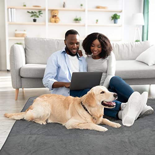 LOOBANI Washable Pee Pads for Dogs, 2 Pack Fast Absorbent Dog Mats,36"x41" | Leak-Proof and Non-Slip Reusable Puppy Pads, Machine Washable, Whelping Pads for Crate, Playpen, Incontinence, Housebreaking - size: 36"*41"(Pack of 2) Gray