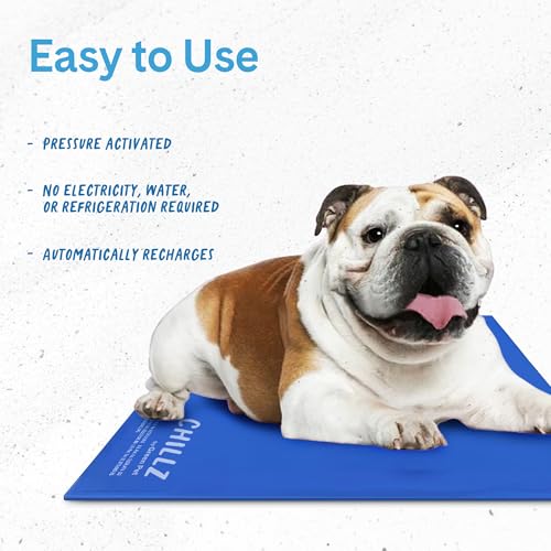 The Green Pet Shop Chillz Gel Mat, Large - Pressure-Activated Cooling Pad for Pets 25-50 lbs - Non-Toxic, No Water or Refrigeration Needed - Ideal for Home, Travel & Crates - size: L