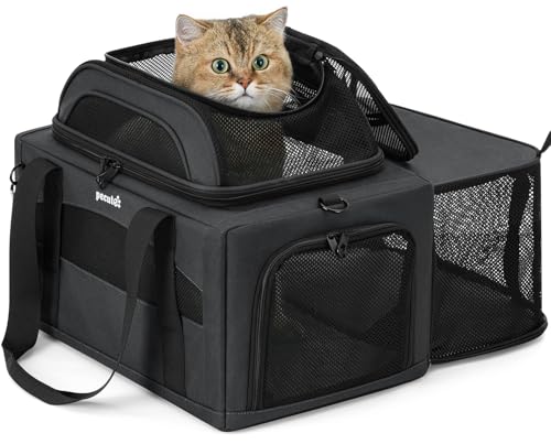 Pecute Top Expandable Airline Approved Pet Carrier for Cats, Dark Gray | Top side expandable, breathable scratch-resistant mesh, leakproof pee pad, locking zippers, foldable travel bag under 11lbs - color: Dark Gray
