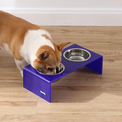 DBL2000F Keaton 5" Small/Medium Modern Acrylic Rectangular Elevated Pet Feeder with 20oz 2-Stainless Steel Bowls, Purple/Chrome - color: Purple/Chrome, size: 20 Ounces (5" Cups 2-Pack)