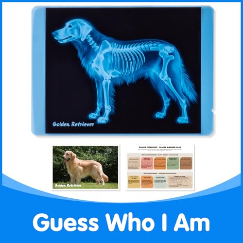 Pet Series Animal Xrays for Kids - Light Table Manipulatives | Veterinarian Play Set & Dramatic Play Vet Clinic - style: Pet Series