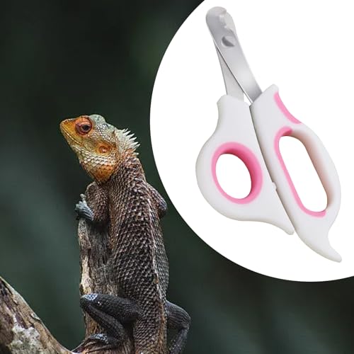 Bearded Dragon Nail Clippers with Precise Angled Edges | Stainless Steel Bearded Dragon Toe Nail Clippers (Pinky White) - color: Pinky White
