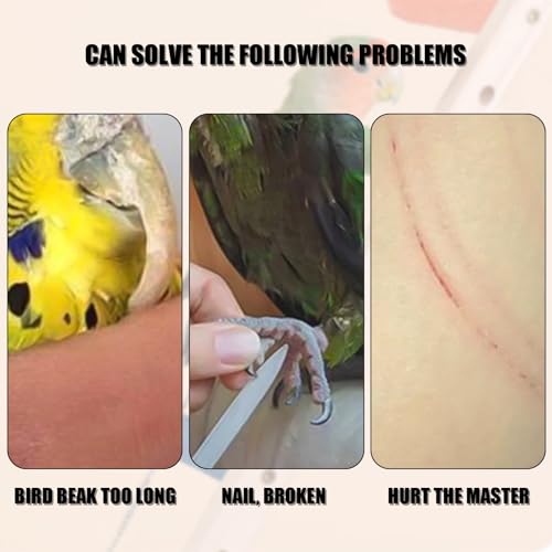 Bird Perch,1PC Wooden Parrot Stand Perch,Bird Ladder Bridge Climbing Chewing Toys for Small Medium Animals (5 Ladders) - color: 5 Ladders
