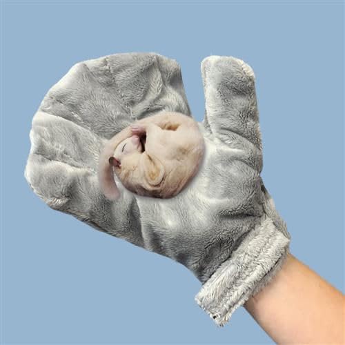 Exotic Nutrition Calming Glove - Comfy Bonding Mitt for Sugar Gliders, Hedgehogs, Rats, Hamsters, & Other Small Pets - size: 1 Pack