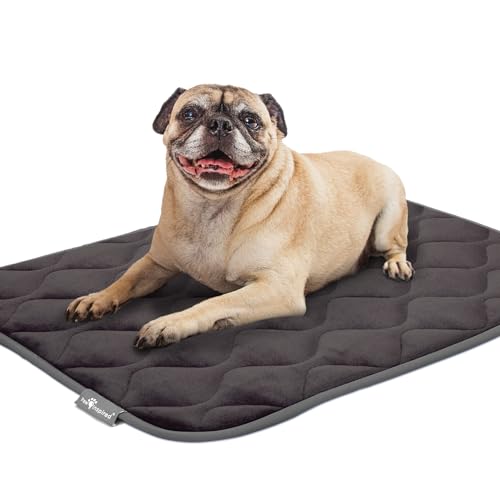 Paw Inspired Washable Padded Crate Mats for Dogs, Gray, 29x18 Inch | Fits 30-inch Kennels, Leakproof, Waterproof Bottom, Plush Dog Pad, Pet Bed - color: Gray, size: 30 Inch