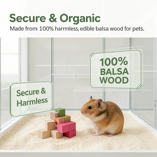 Premium Balsa Wood Small Animal Chew Toys (0.8") - 100% Natural, 4-Flavor Fruit Infused Blocks for Hamsters, Guinea Pigs & Rats - Safe, Ultra-Light Foraging Treats