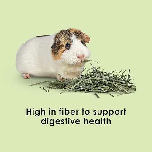 Kaytee Wafer Cut All Natural Timothy Hay for Pet Guinea Pigs, Rabbits & Other Small Animals, 60 Ounce - size: 3.75 Pound (Pack of 1)