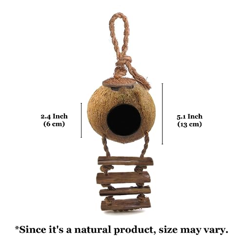 SunGrow Hermit Crab Coco Hut with Ladder, Hamster & Hermit Crab Hideout, Coconut Hide for Reptiles, Crab Cage Climbing Toys, Coconut Shell Mouse House, Habitat Tank Accessories, 5"