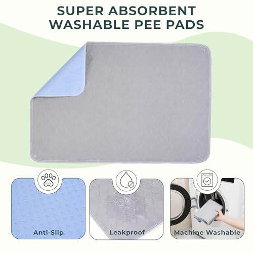 BurgeonNest Dog Grass Pad with Tray 35"x24", 3-Layer System with EVA Tray | Includes Reusable Artificial Grass, Absorbent Washable Pee Pad, Foldable Tray for Balcony, Apartment & Indoor/Outdoor Use - size: L-35''x24''