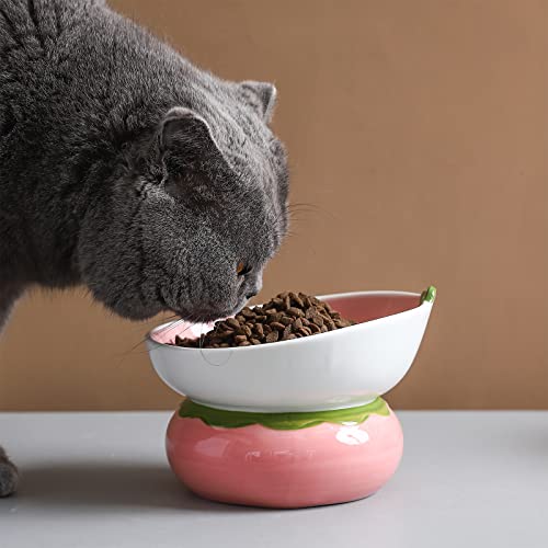 Ceramic Raised Cat Bowl, Pink, Strawberry Shaped | Elevated Food Bowl, Indoor Cats, Anti-Vomiting & Spine Protection, Cute Tilted Pet Dish, For Flat-Faced Cats and Kittens - color: Pink