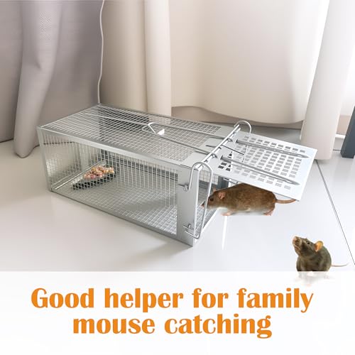 Humane Rat Trap, Chipmunk Rodent Trap that Work for Indoor and Outdoor Small Animal - Mouse Voles Hamsters Live Cage Catch and Release 1 Pack