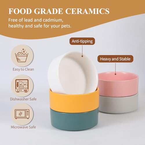 Elevated Ceramic Cat Bowl - Cat Food Bowl with Bamboo Stand - Raised Dog Dish for Puppies - Anti Vomiting, Stress Free - 13.5 oz / 400 ml - White - color: White, size: Small
