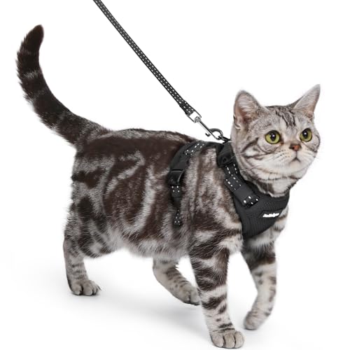 rabbitgoo Cat Harness and Leash, Easy-on with Neck Buckle, Black | Escape Proof, No Over-the-head, Soft Air Mesh, 3 Lockable Adjusters & Buckles, Reflective, for Small to Average Cats Walks, S - color: Black, size: S