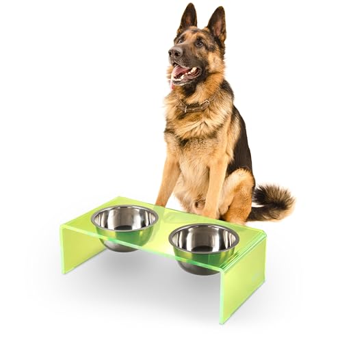 DBL2001G Keaton 7.5" Medium/Large Modern Acrylic Rectangular Elevated Pet Feeder with 54oz 2-Stainless Steel Bowls, Green/Chrome - color: Green/Chrome, size: 54 Ounces (7.5" Cups 2-Pack)
